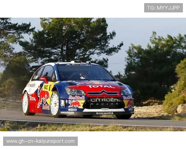 WRC世界赛车拉力赛，泥地赛段挑战极限，wrc拉力赛车队